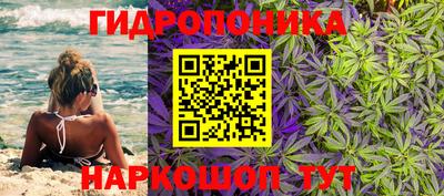 твердый Лесосибирск